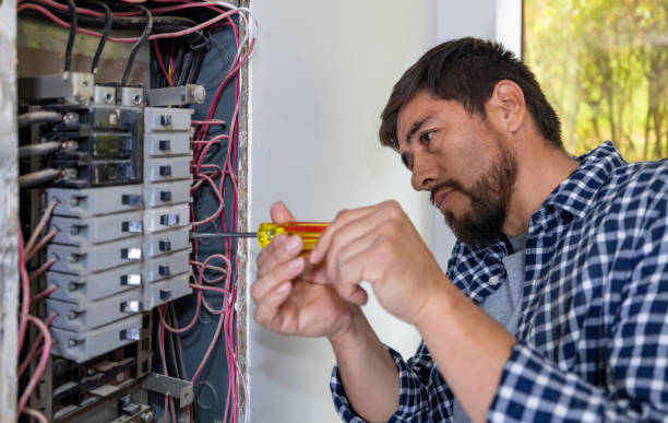 Best Electric Panel Repair  in Greenville, VA